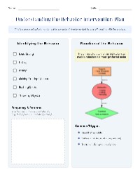 Behavior Intervention Plan Overview