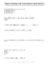Figure Skating Scoring Guide