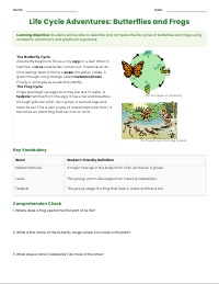 Amazing Animal Life Cycles