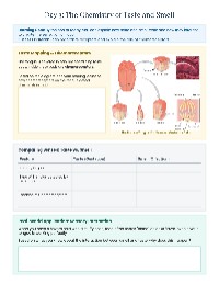 Special Senses Daily Worksheets