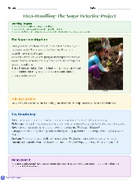 Data Handling in School Gardening