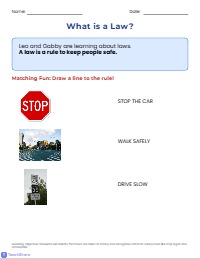 Laws In Action: Learning Our Rules