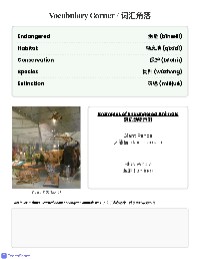 Endangered Animals KWL Chart