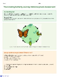 Butterfly Life Cycle Assessment