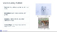 Animals Surviving in Grasslands and Tundra