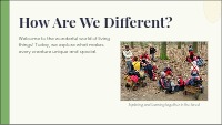 Exploring Plants and Animals Together