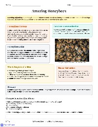 Honeybees Text Features Practice
