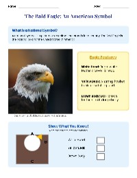 The Bald Eagle: An American Symbol