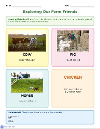 Farm Animals Matching