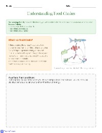 Food Chain Adventures