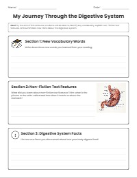 My Digestive System Non-Fiction Reflection