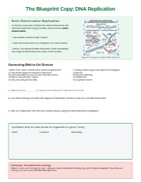 Unlocking Growth: Understanding the Cell Cycle