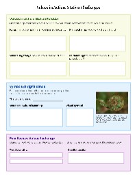 Ngataki Values Reflection Journey