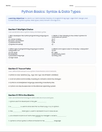 Grade 7 Programming and Python Assessment