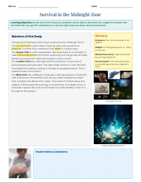 Life in the Deep Sea: Amazing Adaptations