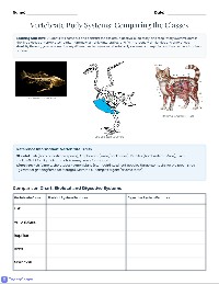 Vertebrate Body Systems Comparison
