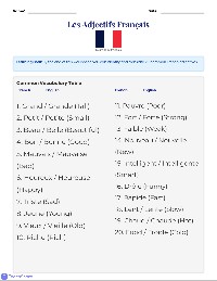 French Adjective Essentials