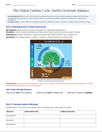 Analyzing the Dynamic Global Carbon Cycle