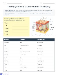 Integumentary System Terminology Assessment