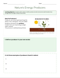 Energy Flow: Producers and Consumers