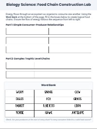 make the student folllowing activities for 9th grade students in summer school