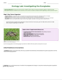 Investigating Invasive Species in the Everglades