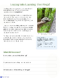 All About Tree Frogs