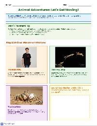 Animal Movement Activities