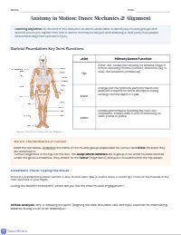 Anatomy and Alignment for Efficient Dance