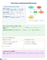 Vocal Anatomy and Breath Control