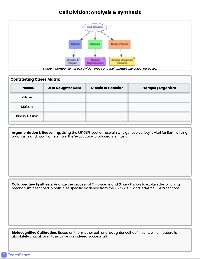 Cell Division Collaborative Analysis