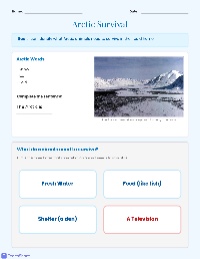 Understanding Arctic Survival