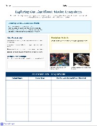 Underwater World Documentary Worksheet