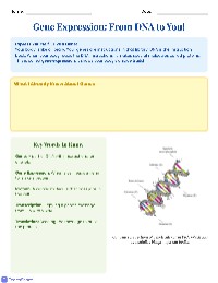 Understanding Gene Expression and Regulation