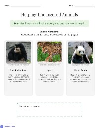 Understanding Endangered Animals