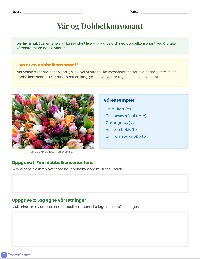 Dobbelkonsonant og Vår