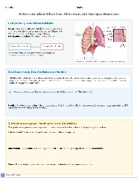 Redacción sobre los Sistemas del Cuerpo