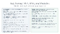 Understanding Gene Expression Processes