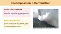 The Amazing Traveling Carbon Cycle