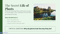 Exploring Plant Structures