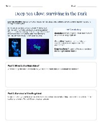 Bioluminescence in Deep Sea Creatures