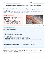 Fiber Analysis Lab: Natural vs Synthetic Fibers
