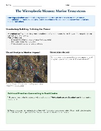 Microplastics in the Food Chain