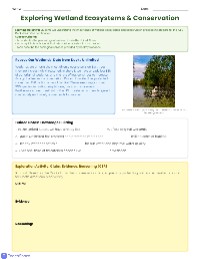 Wetland Conservation Foundations