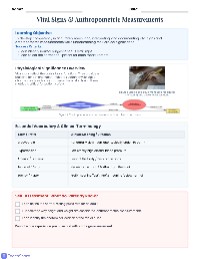 Clinical Vital Signs Assessment Guide