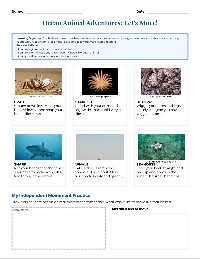 Ocean Adventure Movement Activities