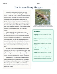 The Amazing Duck-Billed Platypus