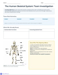 Collaborative Human Skeletal System Investigation