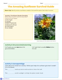 Do Now: Survival Checklist