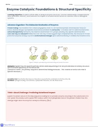 Mastering Enzyme Kinetics and Biological Regulation